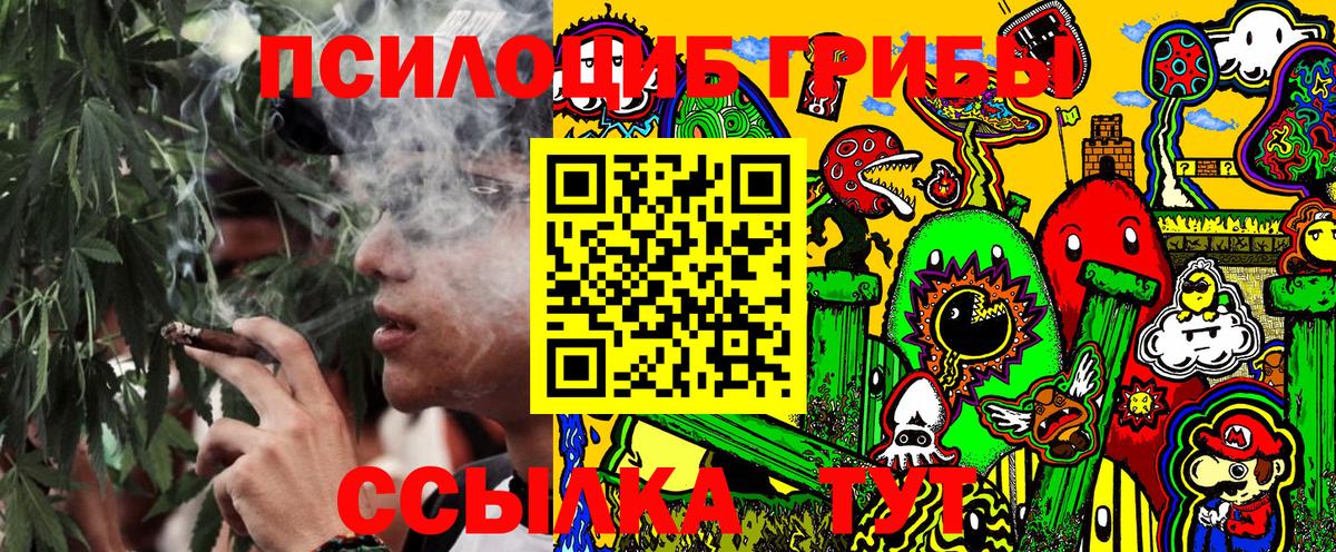 Псилоцибиновые грибы Psilocybe  Псилоцибиновые грибы MAGIC MUSHROOMS  Заволжье  Вход с VPN 