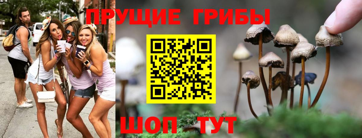 Псилоцибиновые грибы мухоморы Заволжье